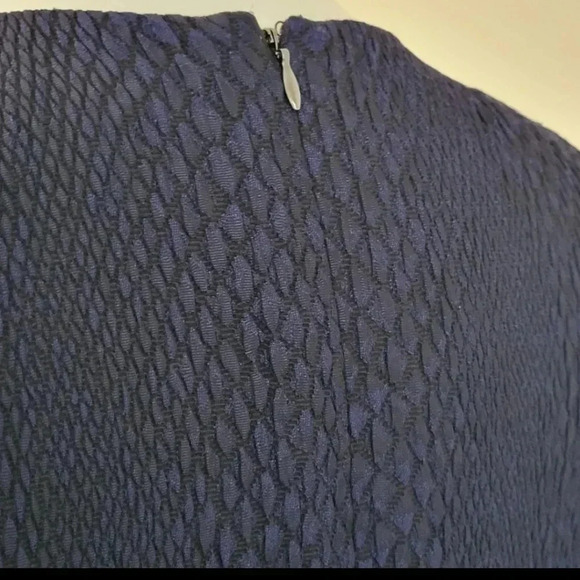 Rebecca Taylor V-Neck Snake Textured Bodice Jacquard Dress(8) - Picture 9 of 13